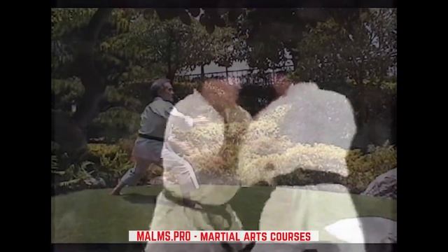 The Dynamic Art of Okinawan Kempo смотреть онлайн