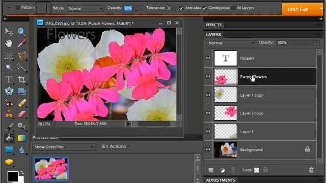 Photoshop Elements 9.0 Tutorial Common Layer Management Tasks Adobe Training Lesson 10.7 смотреть онлайн
