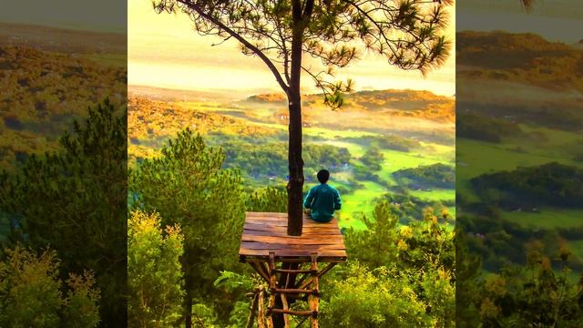 Release ANGER & Hatred ASMR NLP Layered Subliminal W/432 Hz Music & Delta Brainwave Binaural Beats