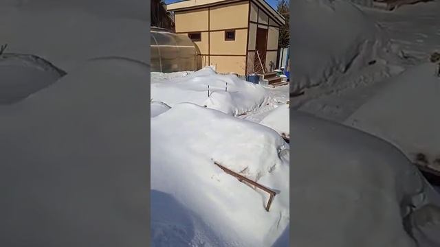 прогулка по даче.февраль 2022г смотреть онлайн