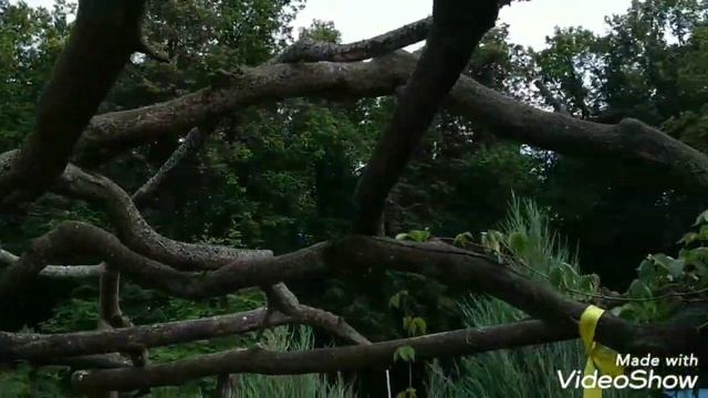 Курорт КРАСНАЯ ПАХРА смотреть онлайн