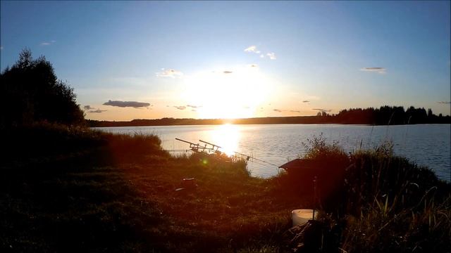 Карпфишинг SPB CarpFishing team. Водоем "Бойково" Завидово 2019 (8 СЕКТОР). New big fish!!! смотреть онлайн