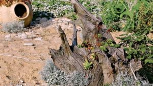 избушка на курьих ножках из бревен своими руками