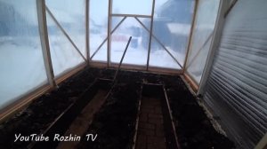 Зимняя теплица на Урале / Запустили теплицу в декабре