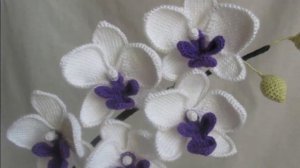 Вязаные цветы|Подборка для вдохновения|Вязание крючком