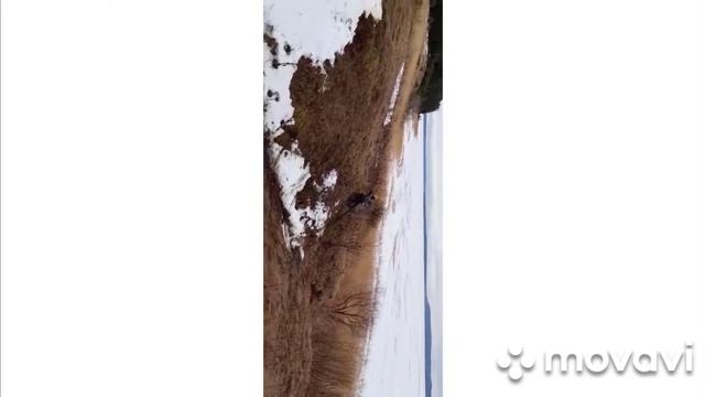 Эндуро с Racer 140 и Kayo 125 смотреть онлайн