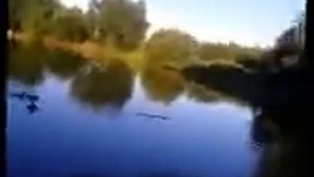 Рыбалка на Дягелевском пруду Рязань часть 2 смотреть онлайн