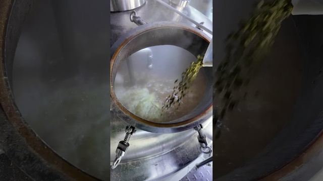 5 смотреть онлайн