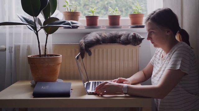 Вкусные рецепты