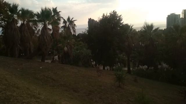 Сочи. Дендрарий Красивый вид с горы. смотреть онлайн