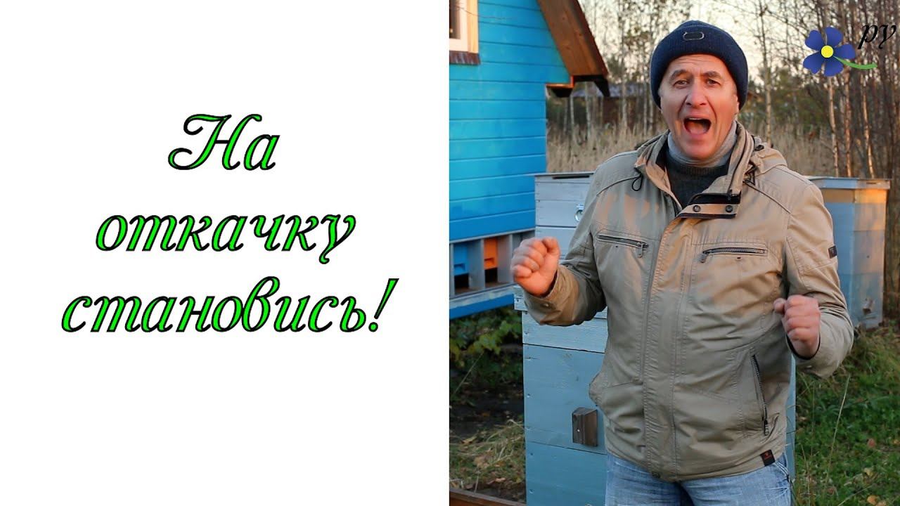 На откачку меда становись! смотреть онлайн