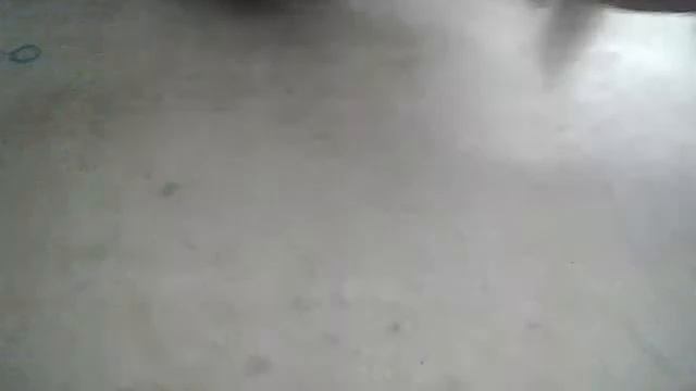 Видео c веб-камеры от 16 июня 2015 г., 13:11 (UTC) смотреть онлайн