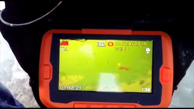 Подводная видео-камера CALYPSO смотреть онлайн