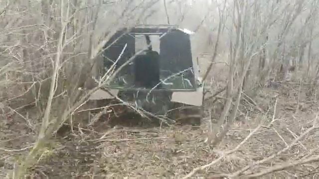 Вездеходы Черепаха ? Модель Горыныч. пробираемся через перелесок смотреть онлайн