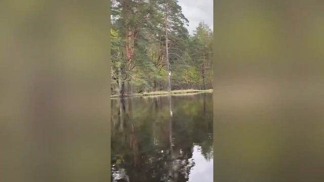 Сплав по реке Пра, Рязанская обл. 29 апреля -1 мая 2023г. смотреть онлайн