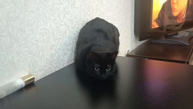 Девочка смотреть онлайн