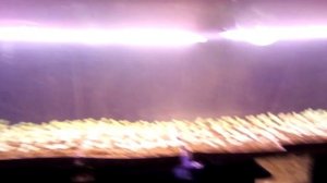 Огурцы выращивание в теплице.  Огурцы зимой  Освещение в теплице. ЧАСТЬ 1.