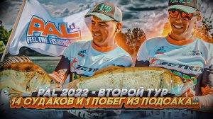 14 СУДАКОВ В ЛОДКЕ И 1 ПОБЕГ ИЗ ПОДСАКА. В главных ролях: Павел Мычко и Слава Юрганов. PAL 2022