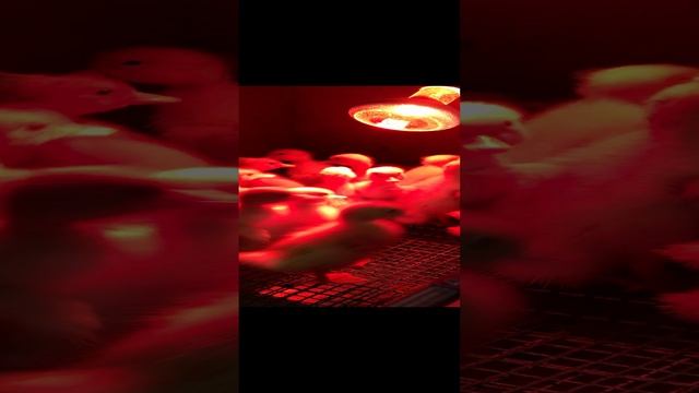 2023-03-14 смотреть онлайн