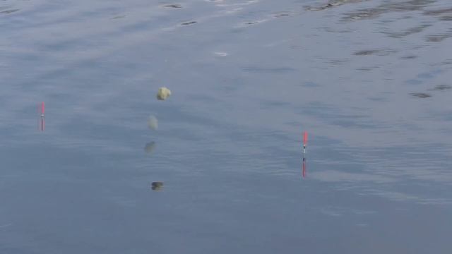 Рыбалка на реке весной Карась клюет на поплавок. My fishing смотреть онлайн