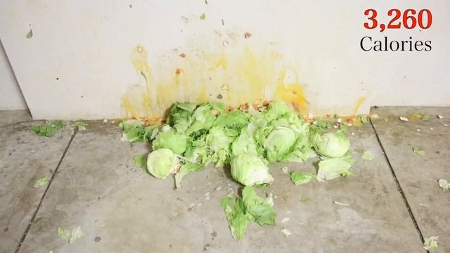 HowToBasic throwing eggs and hitting things with a spade for over 3 minutes смотреть онлайн