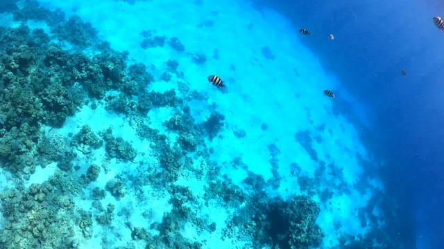Faraana Reef 22.10.22
