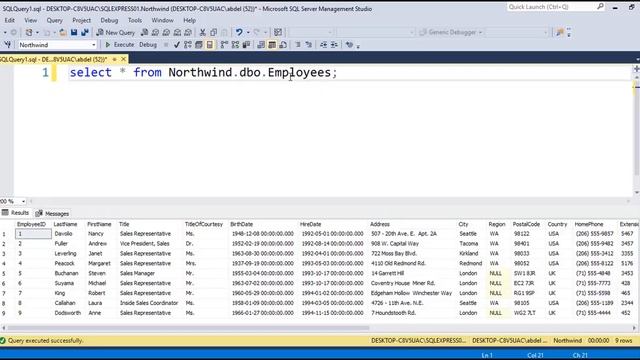 14- Schema in SQL Server смотреть онлайн