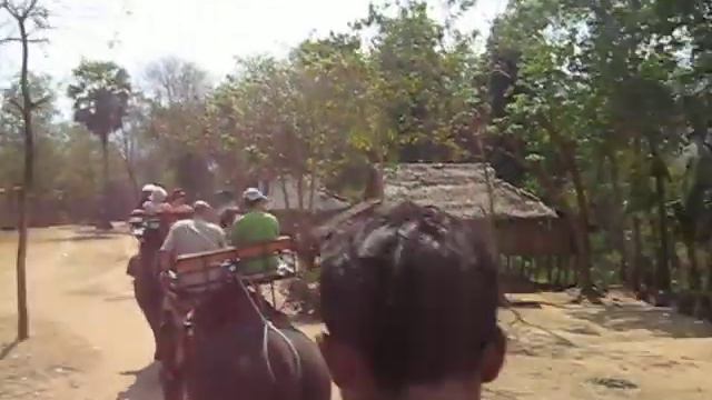 и уносят меня три серых слона смотреть онлайн