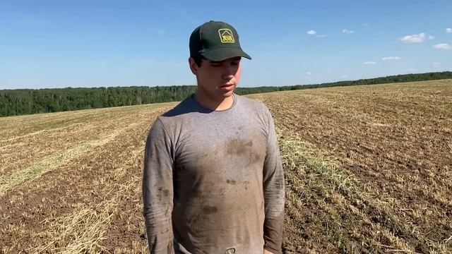 Опять посевная! Сеем вико-Овес в стерню ржи. смотреть онлайн