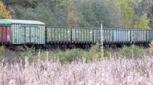 Какой звук вам больше нравится? Тепловоз 2ТЭ116 или 2ТЭ10У