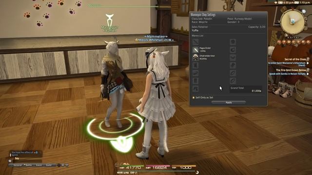 FFXIV: Mannequins - How They Work смотреть онлайн