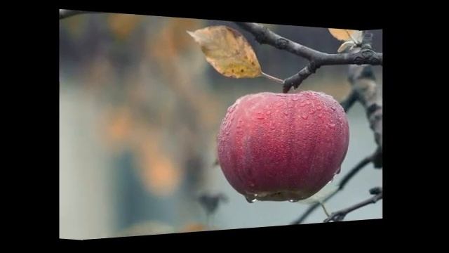 Manavuni Patanam смотреть онлайн