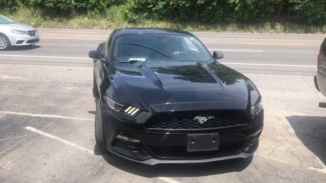 2017 Ford Mustang V6 DUALS w/ MagnaFlow MagnaPacks!! смотреть онлайн