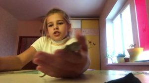 Какой нужен уход за ящерицей