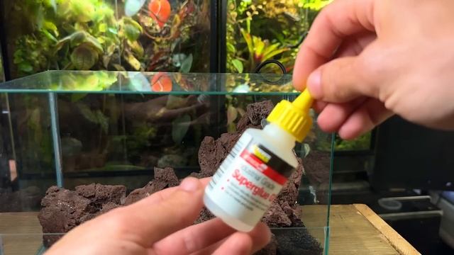 I Made a Paludarium With a Working Waterfall, Here’s How! смотреть онлайн