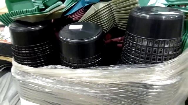 ОБЗОР ПОЛОЧЕК И ЦЕН | магазин СВЕТОФОР | ЯНВАРЬ 2019 | САМЫЕ ДЕШЁВЫЕ ТОВАРЫ смотреть онлайн