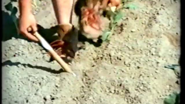 Во саду ли, в огороде 21.03.14 смотреть онлайн