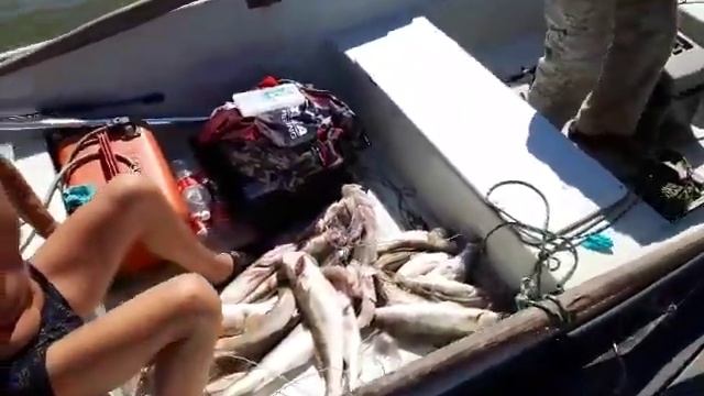 Рыбалка в Астрахани Яр-Базар база Зазеркалье смотреть онлайн