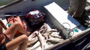 Рыбалка в Астрахани Яр-Базар база Зазеркалье