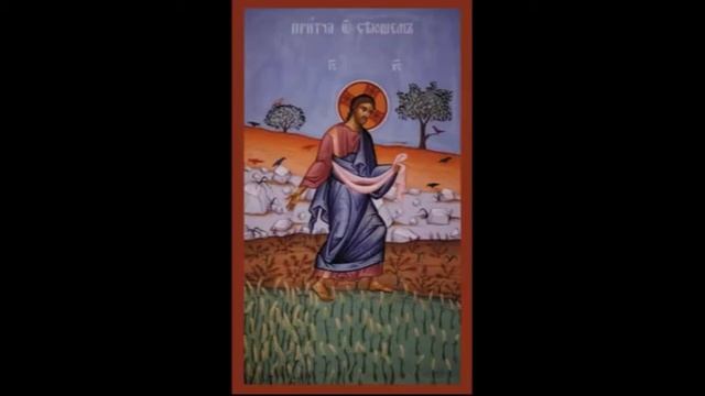 Притча о сеятеле. Две проповеди о. Андрея Ткачева смотреть онлайн