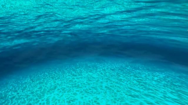 3D sea turtle simulation in Unity [ preview ] смотреть онлайн