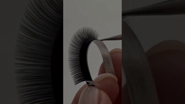 WB: бренд ресниц LBLuxary смотреть онлайн