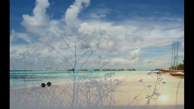 Ярко и красиво  HD