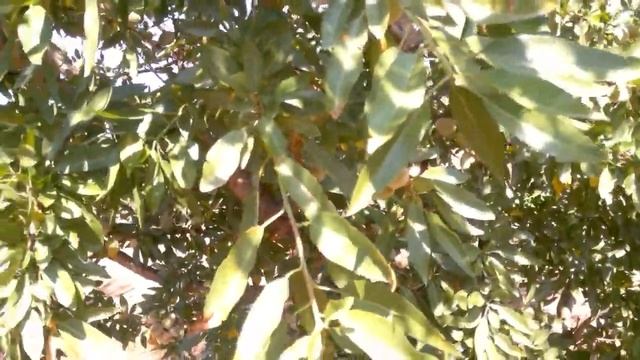 Vairo® Marinada® Constanti® 3 год, Фессалия, Греция смотреть онлайн