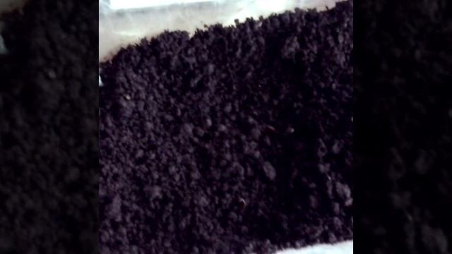 #ПОСЕВ ЛУКА "ЭКСИБИШЕН" НА РАССАДУ @Семья в деревне! смотреть онлайн