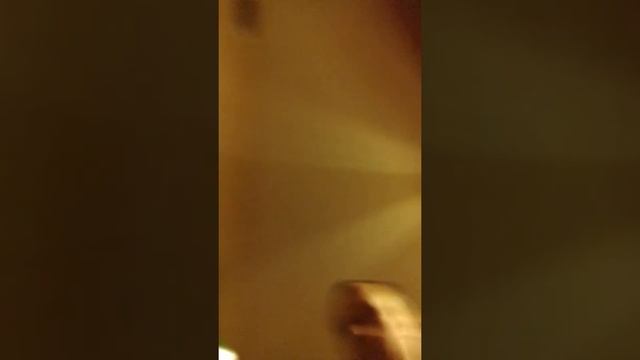 тыква конфетка. декабрь. смотреть онлайн