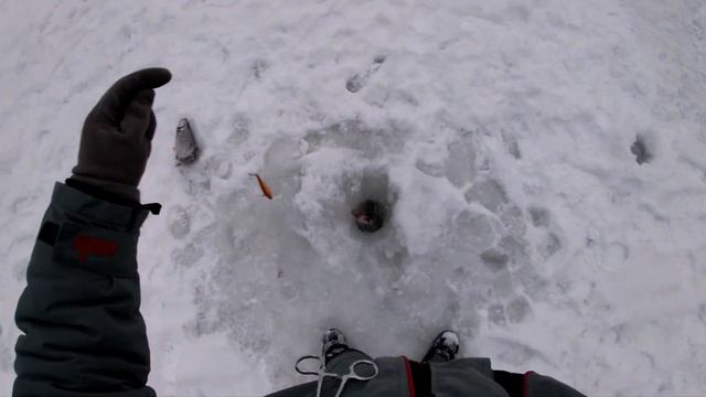 Усадьба Апраксиных, село Ольгово 30.12.21. смотреть онлайн