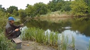 Рыбалка Река Битюг Ловля подуста летом