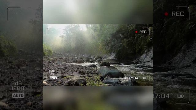 Красота природы, звук горной реки с камнями, для сна , релаксации.