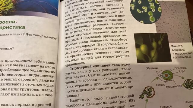 Биология/6 класс/ Тема: Водоросли.Общая характеристика/28.02.21 смотреть онлайн